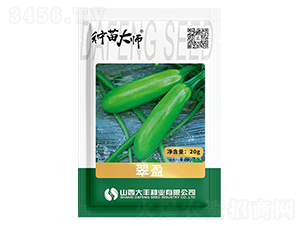 翠盈-西葫蘆種子-大豐種業(yè)