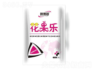 花果樂-魯?shù)掳? style=